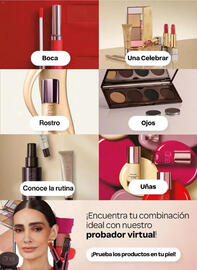 Catálogo Natura Página 43