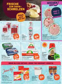 Basic Prospekt Seite 13