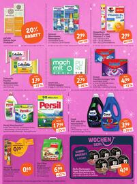 Basic Prospekt Seite 21