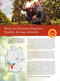 Basic Prospekt Seite 29