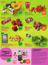 Basic Prospekt Seite 4