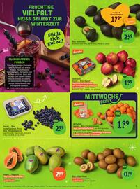 Basic Prospekt Seite 5