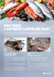 Catálogo Condis Página 19