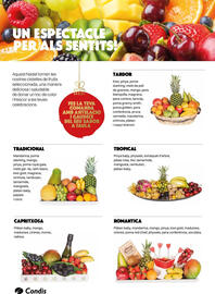 Catálogo Condis Página 22