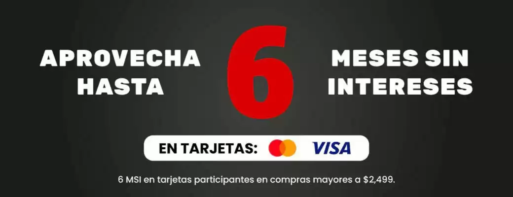 Catálogo Calzzapato (válido hasta 28-02)