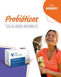 Catálogo Grandiet semana 49 Página 1