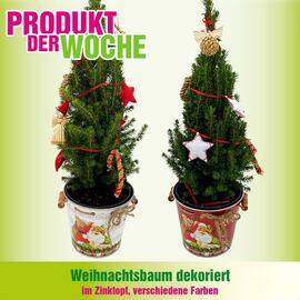 Blumen B&B Flugblatt woche 49 Seite 1