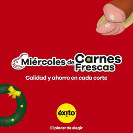 Catálogo Éxito Página 1