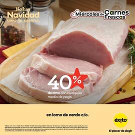 Catálogo Éxito Página 4