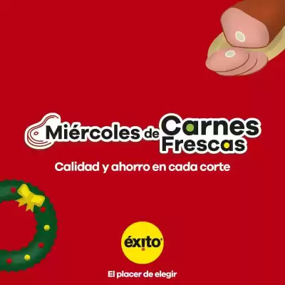 Catálogo Éxito (válido hasta 3-12)