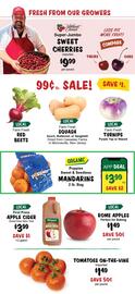 Stew Leonard's flyer week 49 Page 5