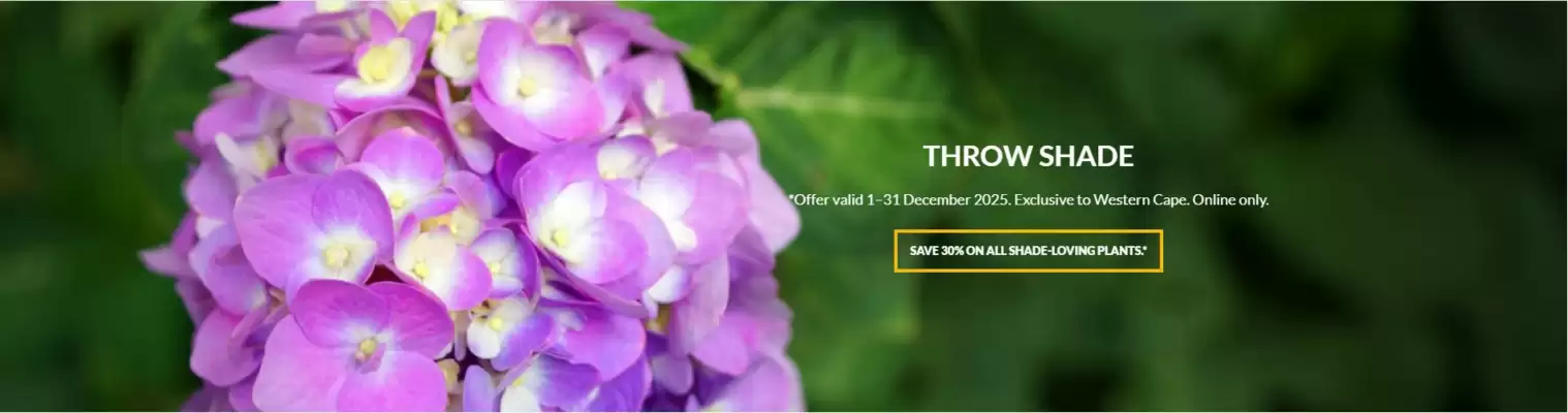 Stodels catalogue (valid until 31-12)