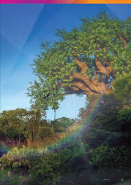 Catálogo Viajes El Corte Inglés Página 29