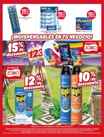 Catálogo Zorro Página 12