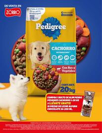 Catálogo Zorro Página 13