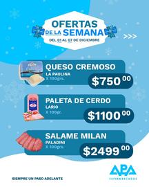 Catálogo APA Supermercados semana 49 Página 2