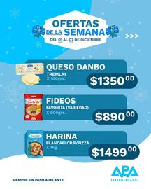 Catálogo APA Supermercados semana 49 Página 3