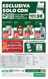 Volantino Panorama Pagina 28