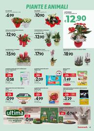 Volantino Bennet Pagina 17