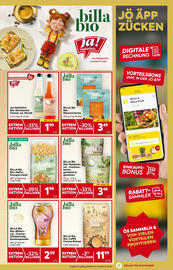 Billa Flugblatt woche 49 Seite 5