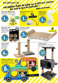 Catalogue TEDi page 20