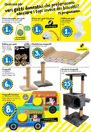 Volantino Tedi Pagina 20