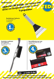 Volantino Tedi Pagina 23