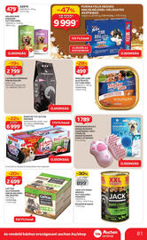 Auchan akciós újság hét 49 Oldal 81