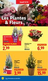 Catalogue Lidl semaine 50 page 40