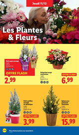 Catalogue Lidl semaine 50 page 40