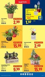 Catalogue Lidl semaine 50 page 41