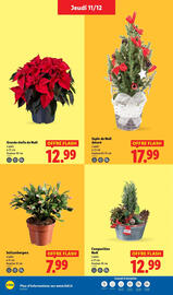 Catalogue Lidl semaine 50 page 42