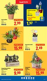 Volantino Lidl settimana 50 Pagina 41