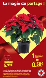 Volantino Lidl settimana 50 Pagina 43