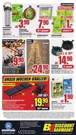 B1 Discount Baumarkt Prospekt woche 49 Seite 8
