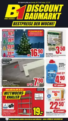 B1 Discount Baumarkt Prospekt (gültig bis 12-12)