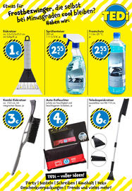 TEDi Prospekt Seite 25