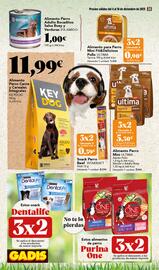 Folleto Gadis semana 49 Página 34