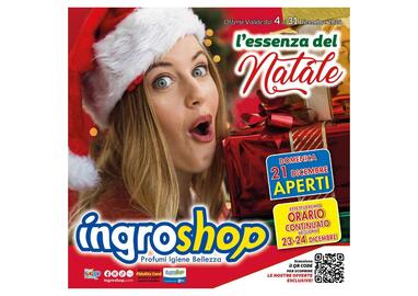 Volantino Ingroshop Pagina 1