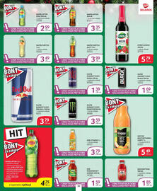 Selgros gazetka Strona 30