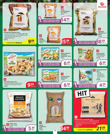 Selgros gazetka Strona 43