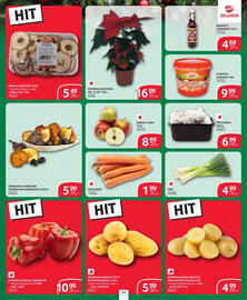 Selgros gazetka Strona 45