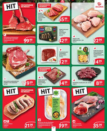 Selgros gazetka Strona 49