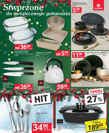 Selgros gazetka Strona 10