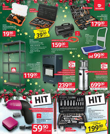 Selgros gazetka Strona 31