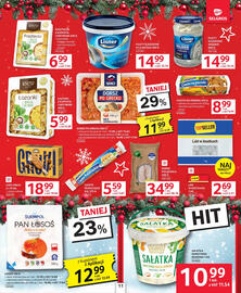 Selgros gazetka Strona 11