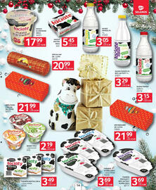 Selgros gazetka Strona 14