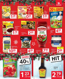 Selgros gazetka Strona 17