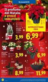 Volantino Lidl settimana 50 Pagina 32