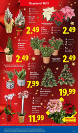 Volantino Lidl settimana 50 Pagina 33